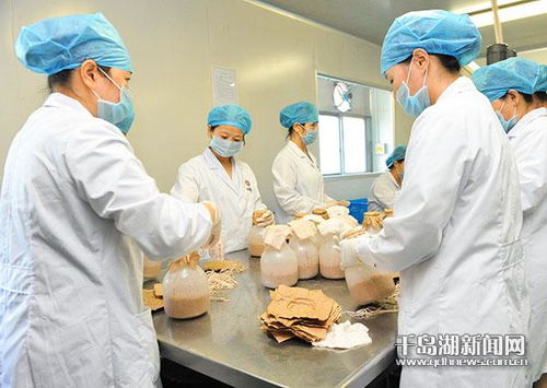 天曲生物 一線生產忙