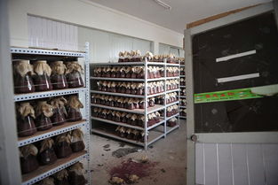 武漢生物制品廠爆炸事件致20余人受傷，生物科技安全生產(chǎn)引關(guān)注