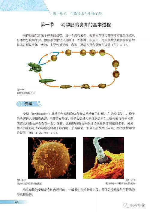 滬科版高中生物選修三《現(xiàn)代生物科技專題》電子課本PDF版免費(fèi)下載指南